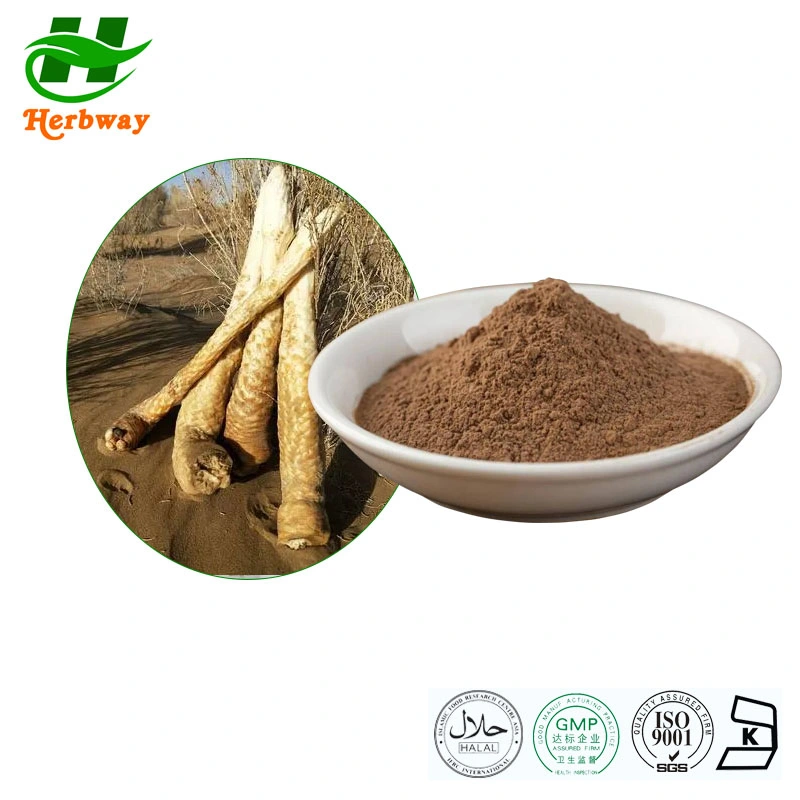 Herbway سعر الجملة الأعشاب الطبيعية مستخرج Cistanche Deserticola الجذر مسحوق Cistanche Tubulosa Root Extract Cistanche Extract