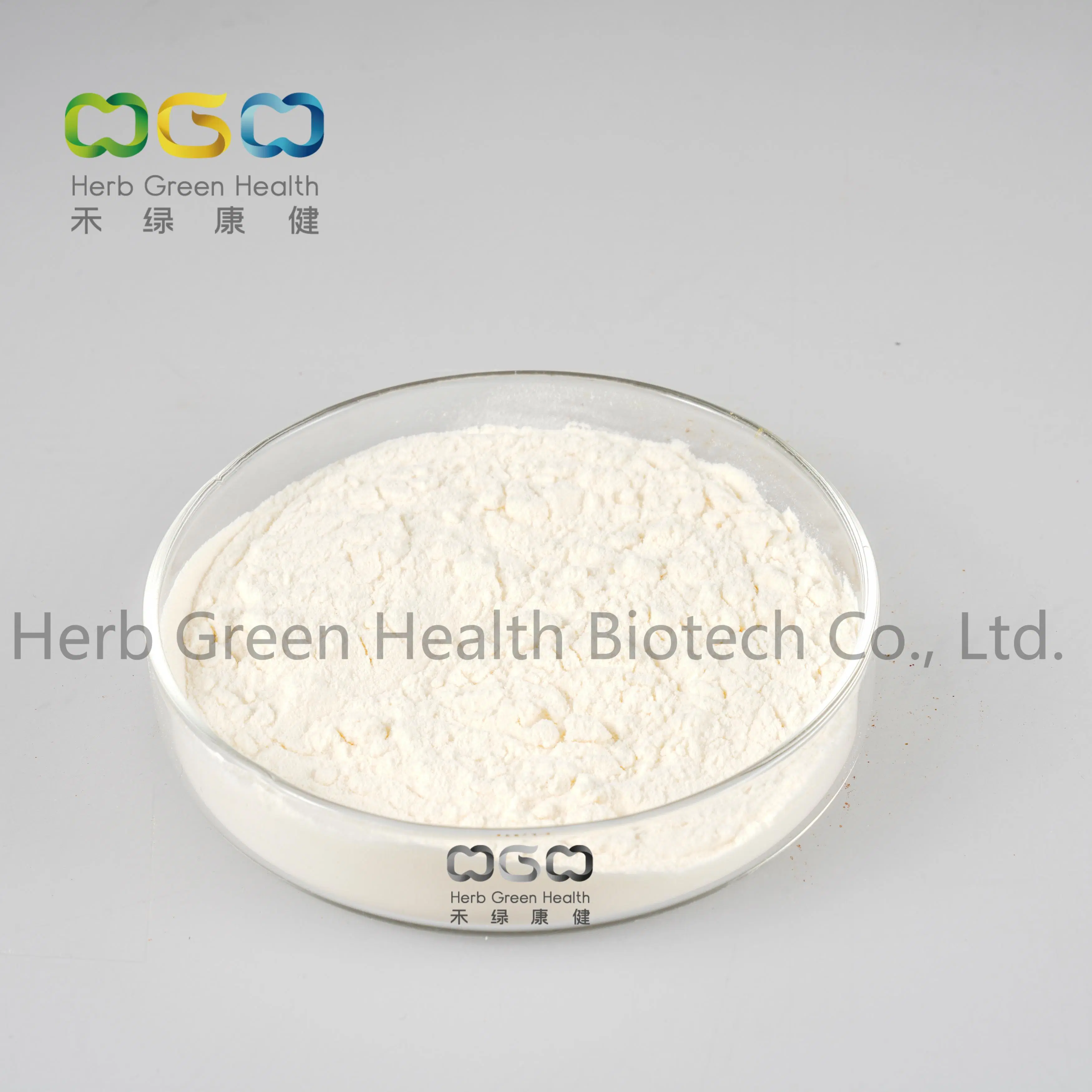 Pure Natural Hordeum Vulgare Freuit Wheat Germ Extract Spermidine >0.1% Powder