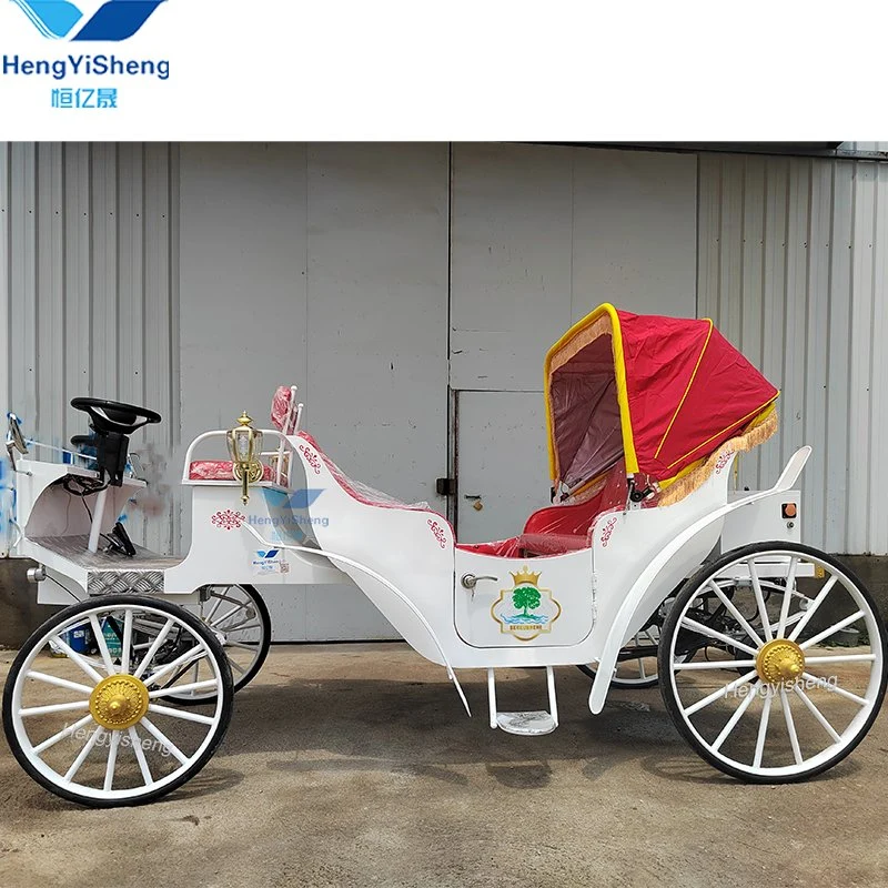 Chinese Special Transportation Customized Sightseeing Horse Carriage