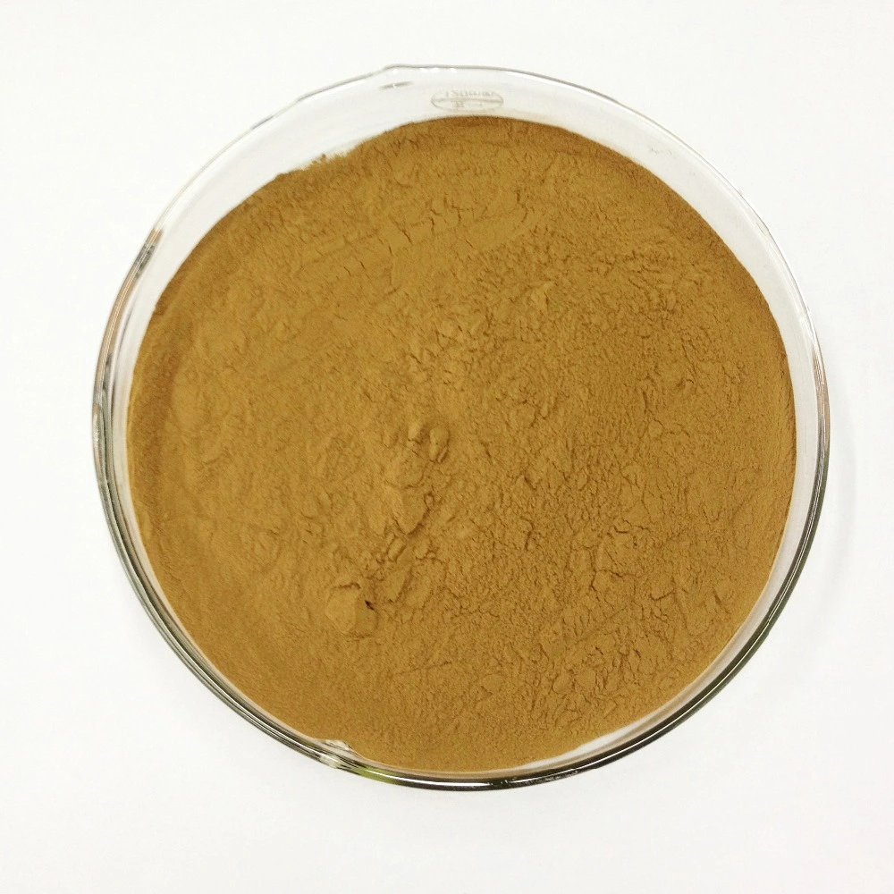 Wholesale/Supplier Herbal Prickly Pear Nopal Cactus Powder