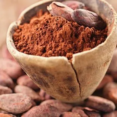 Wholesale/Supplier Price Top Quality Natural Alkalized Cocoa Powder