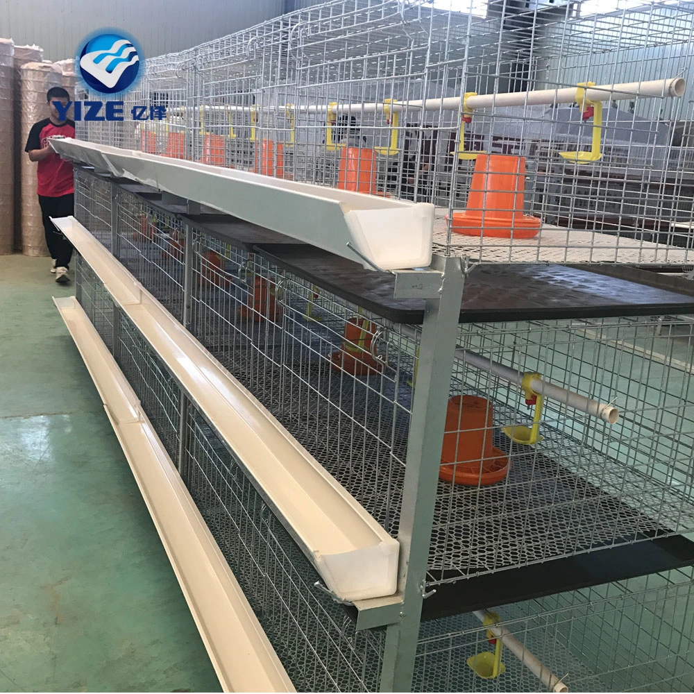 Automatic 4 Tier H Type Broiler Cage in Philippines Battery Chicken Cages for Commercial Broiler