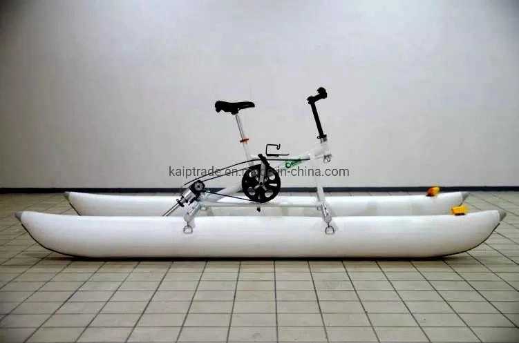2023 Bestselling Aluminum Frame Water Double Bicycle and Single Bicycle for Sale