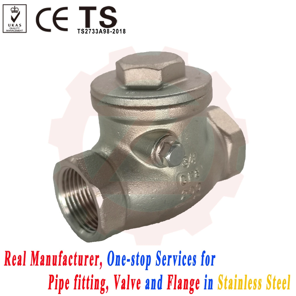 CF8m 1/2" BSPT Horizontal Swing Check Valve