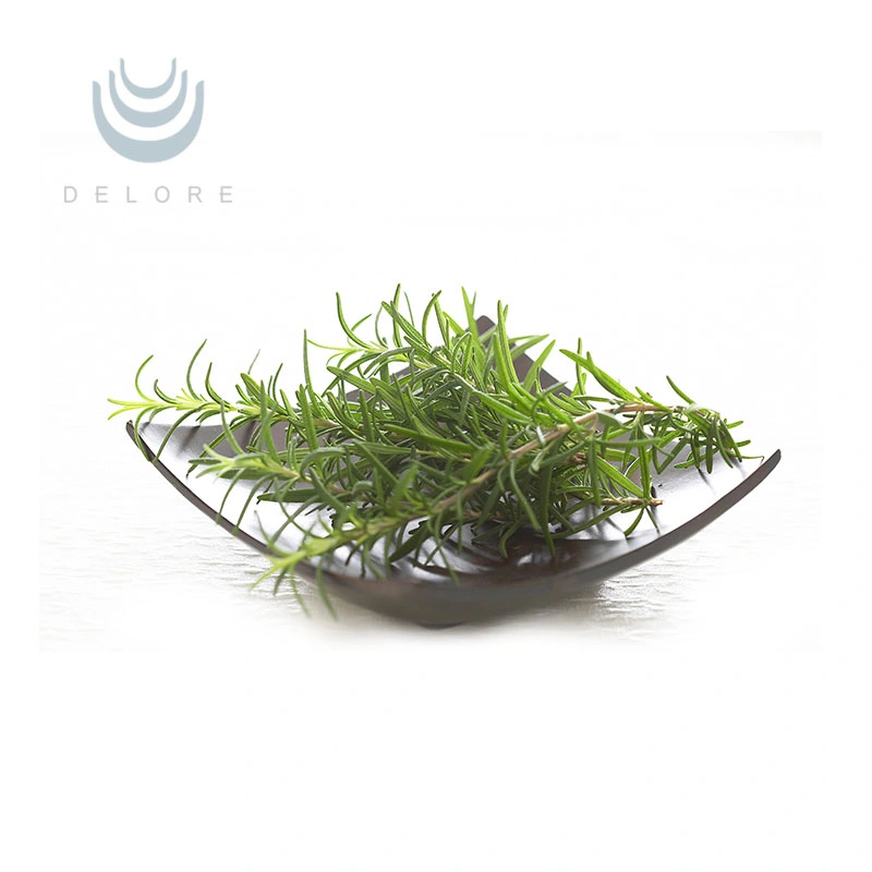 Antioxidants Plant Extract Water Soluble Rosemary Extract Rosmarinic Acid Rosemary Powder Extract