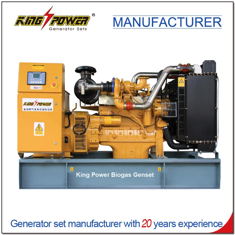 Professional Supplier of 7*24 Hours 150kw Open Silent Natural Gas Biogas CNG LNG LPG Generator