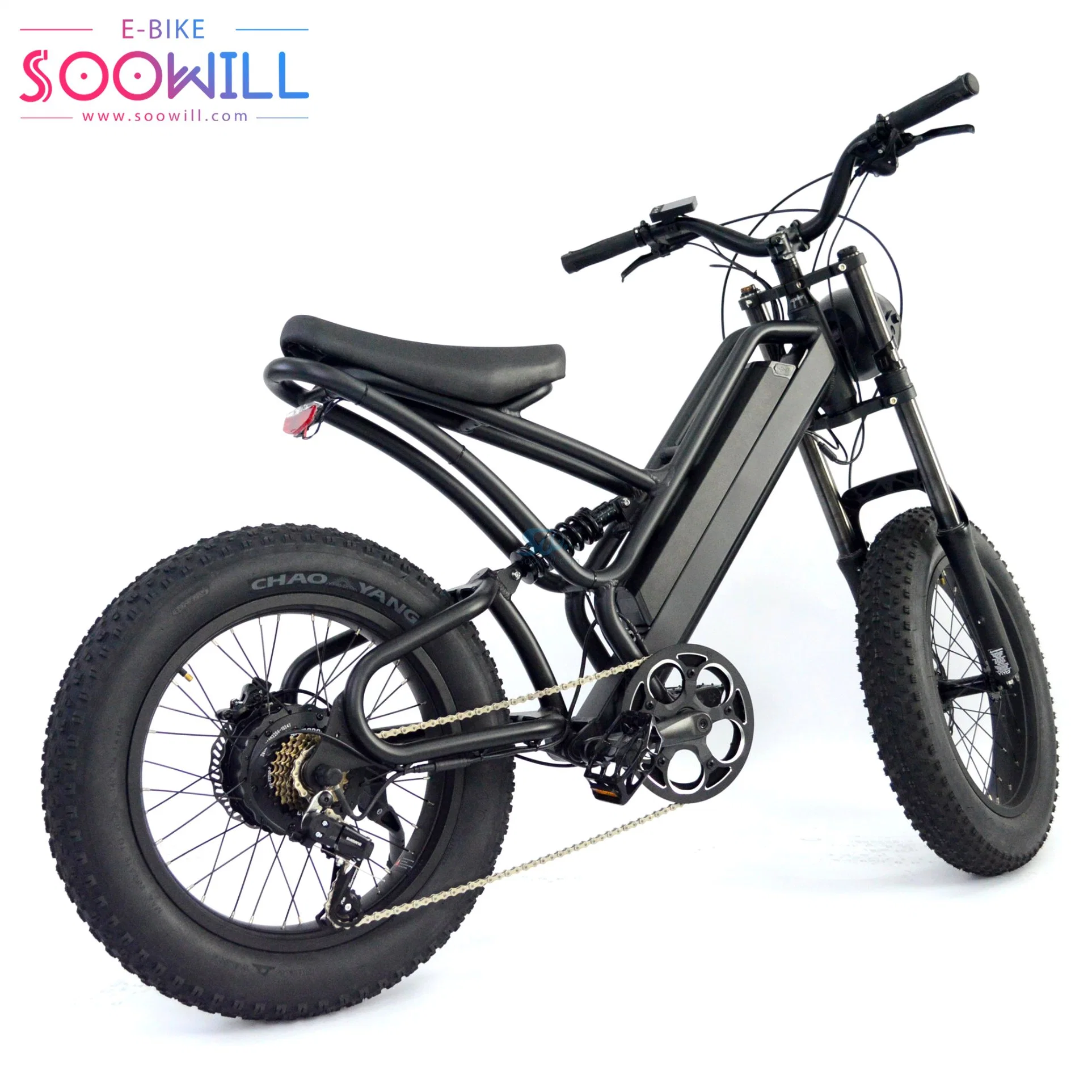 Your Own Logo 100% Pure Natural Source >80 Km by PAS Offroad Electric Bike