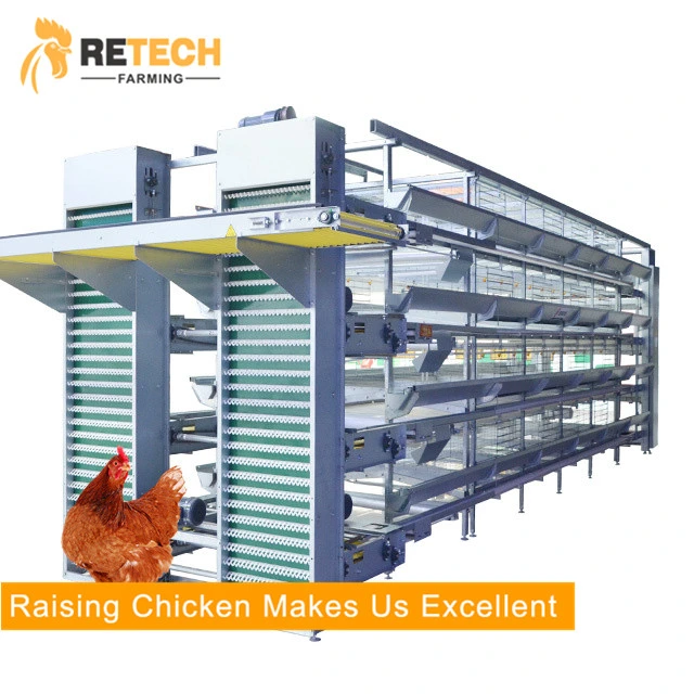 Professional Design Large Scale Automatic Chicken Egg Poultry Farm Equipment