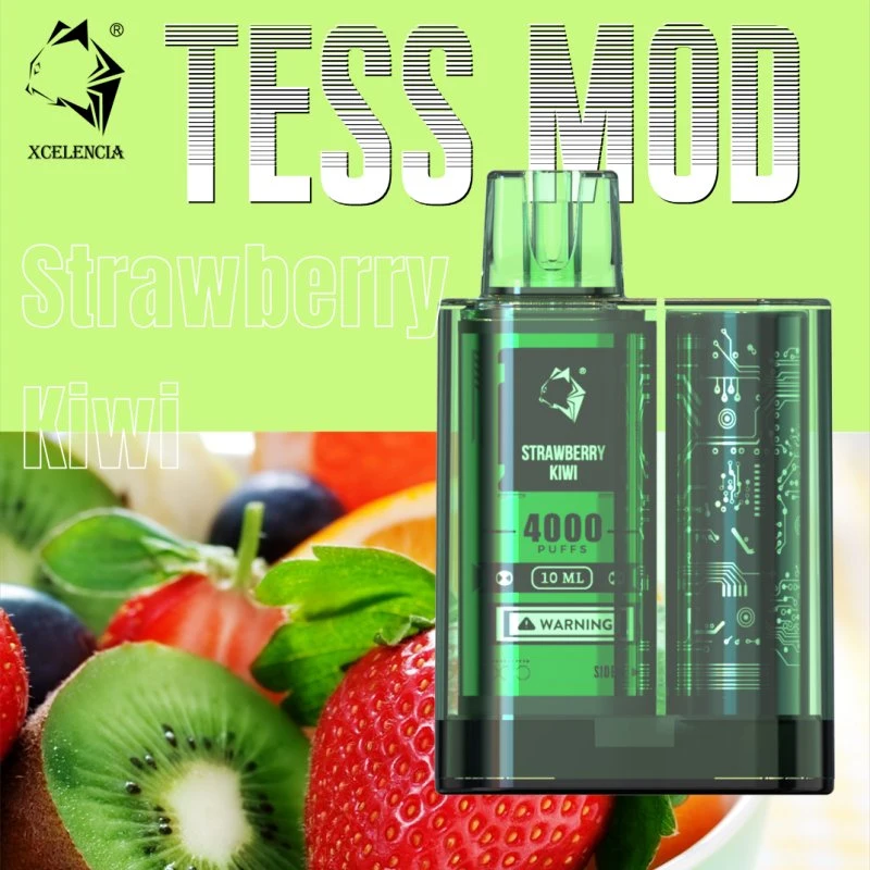 Tess Mod The World First 2 Flavors in 1 Disposable/Chargeable Vape Pen