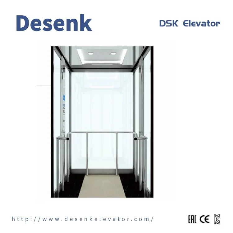 China Supplier Home Elevator Passenger Lift Elevator with Mirror Etched Elevator