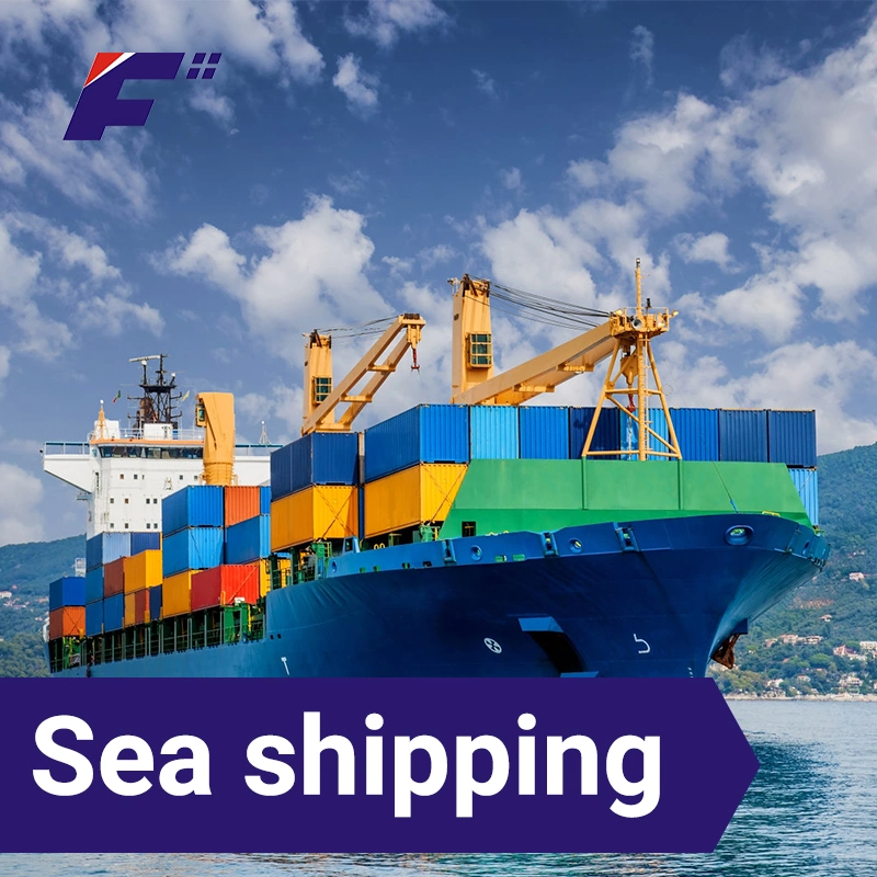 From Shenzhen Sea Freight Express Service to Syria Arabia Freight Forwarder Logistics Service