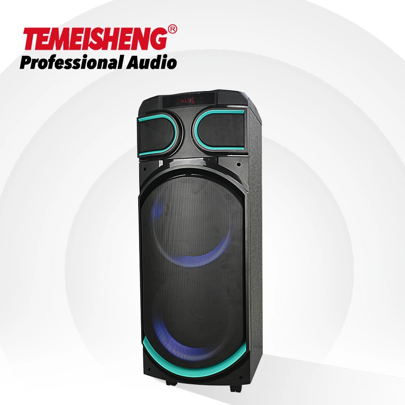 Temeisheng 8 Inch Party Box 100 Watt Professional Portable Wireless Audio Blueotth Speaker with Microphone