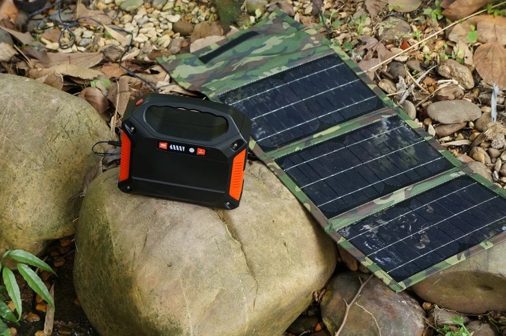 Auto Solar Power Generator off-Grid Inverter Solar Home System 220V 100W