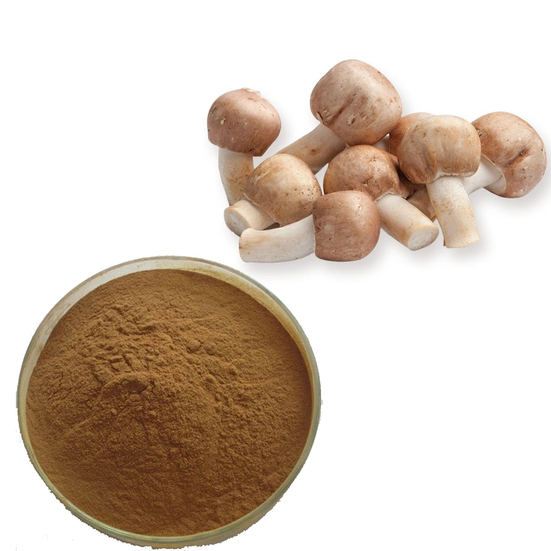 Health Supplement Organic Agaricus Blazei Extract Powder Plant Extract