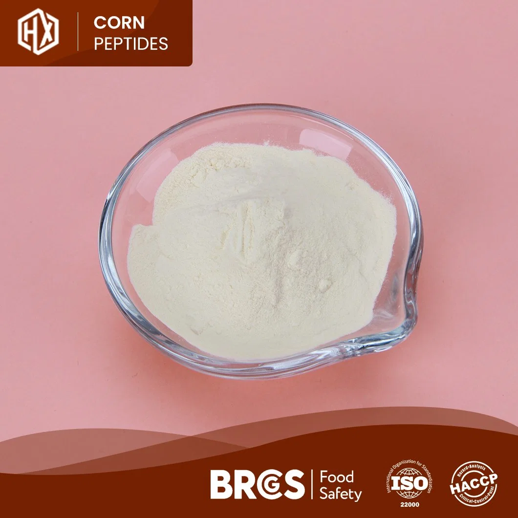 Haoxiang China Manufacturer Supply Organic Corn Protein Peptide Meal 46% 48% 50% Cornbean Protein Fiber Isolate Concentrate Powder Bulk High Purity Corn Peptide