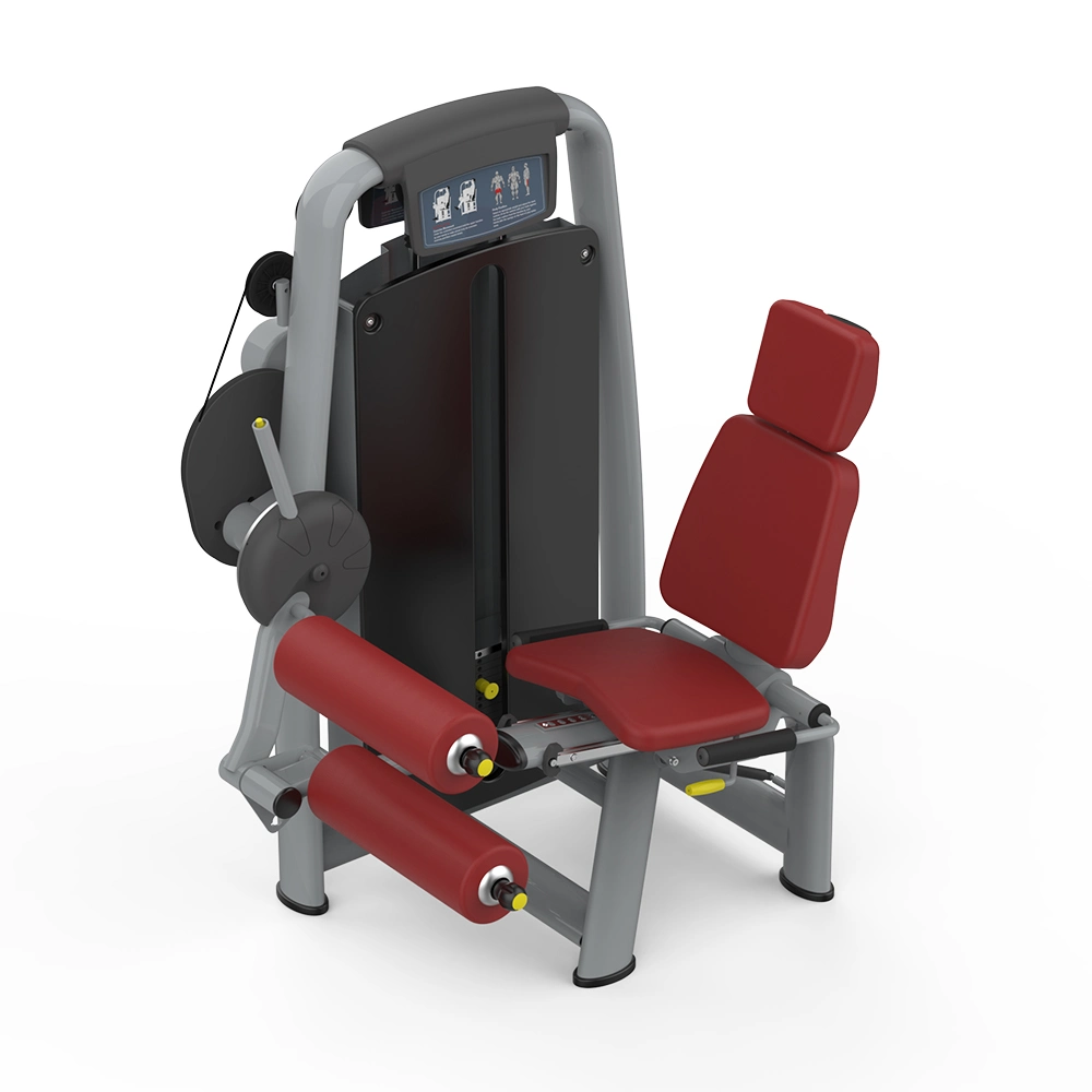 2021 Indoor Fitness Equipment Used in The Leg