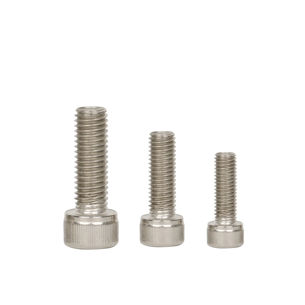 Stainless Steel Made in China Socket Head Screw Allen Key Bolt