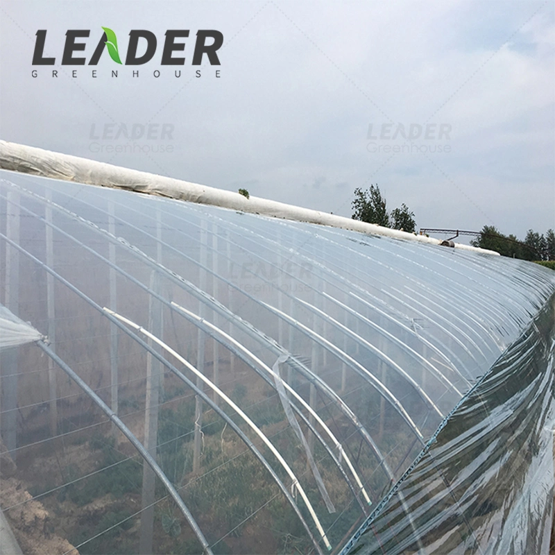 Agriculture Greenhouse Covering by Plastic Film with Low Price