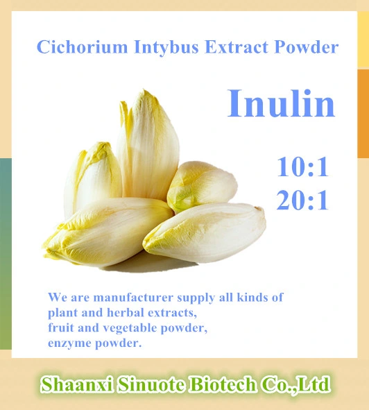 Factory Natural Chicory Extract Powder 10: 1 20: 1 Inulin