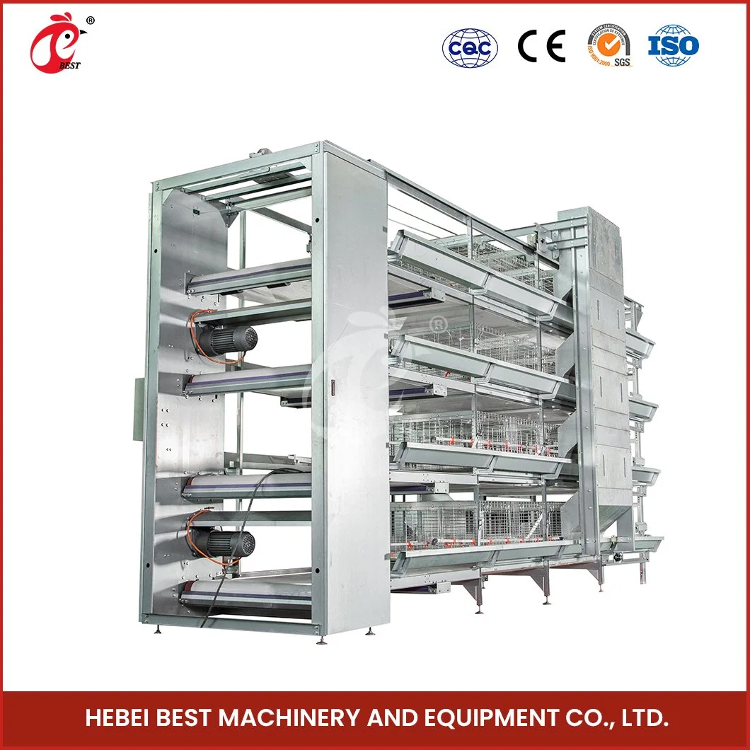 Bestchickencage China Brick Chicken House Manufacturers H Frame Automatic Boriler Cages Custom Iron Material Cages for Chickens Low Amount