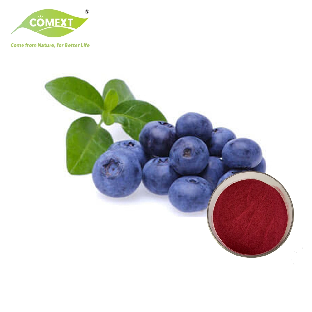 Comext Arándano Vaccinium Myrtillus extracto de fruta en polvo