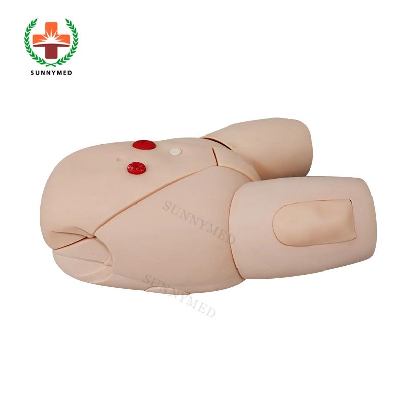 Sy-N045 Medical Nursing Care Female Catheterization Model for University