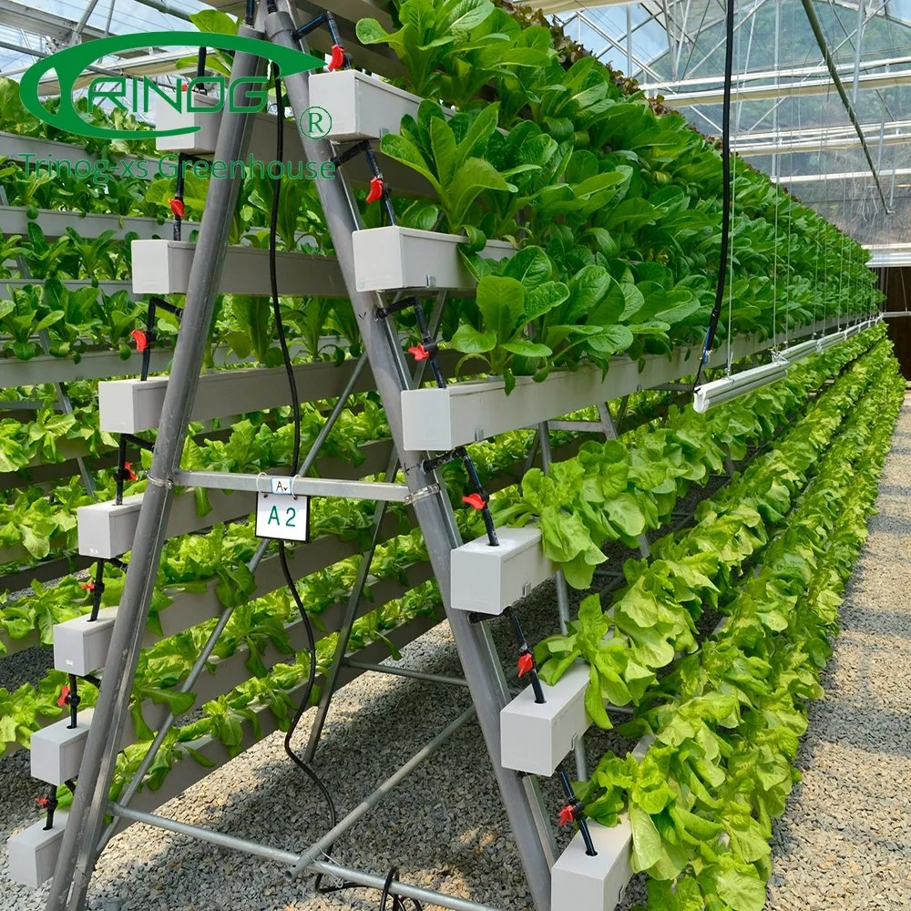 Trinog Greenhouse EIN Rahmen stehen vertikale hydroponics System zum Verkauf