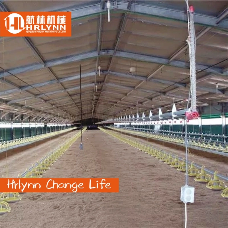 Automatic Broiler Farming System Poultry Farm Equipment for Chicken