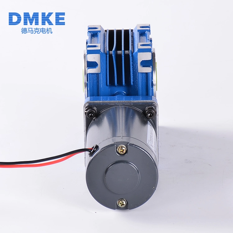 12 24 V Brush Electric Worm Motor Manufacturer Totally Enclosed 30W 40W Permanent Magnet Brush DC Worm Gear Reducer Motor