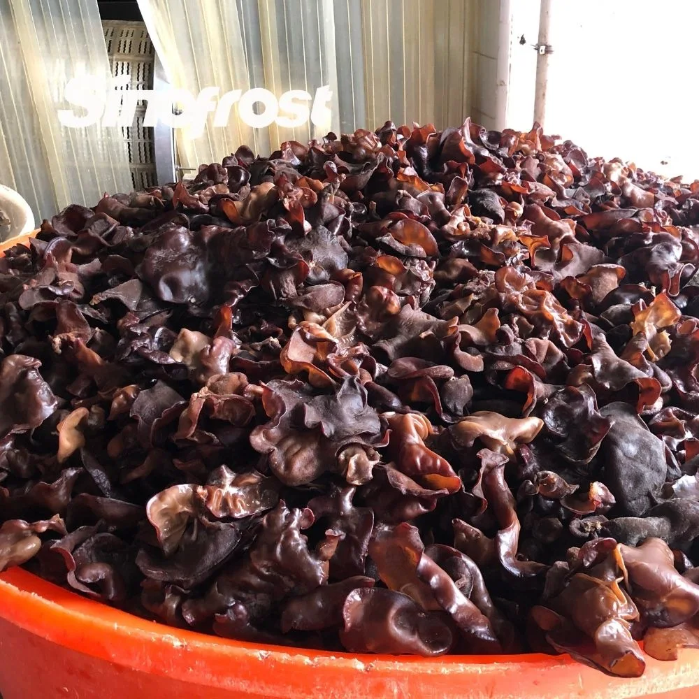 IQF Black Fungus Cuts, Frozen Black Fungus Cuts, IQF Black Fungus Strips, Blanched