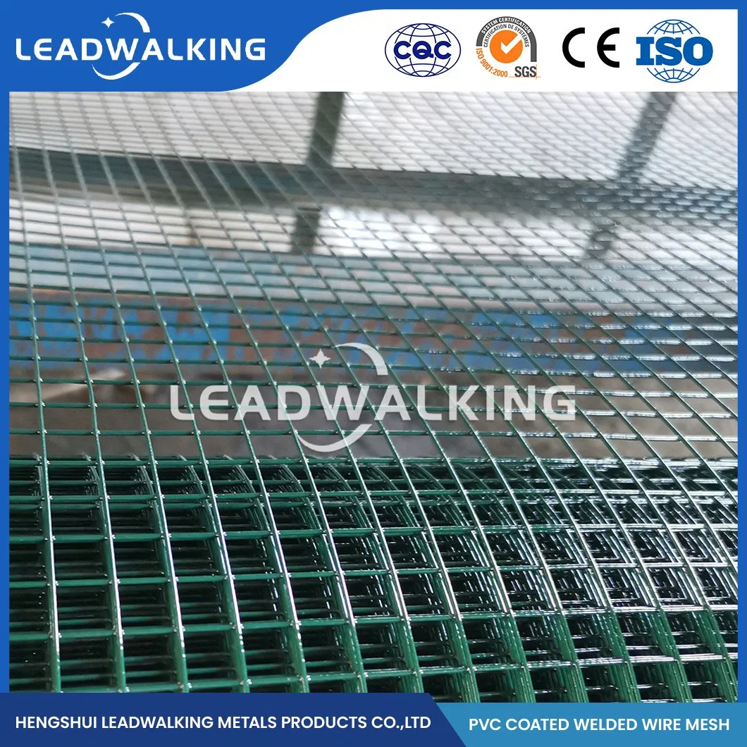 Malla de alambre soldado Leadwalking Fabricators recubierto de PVC 1/2 pulgadas recubierto de PVC Mallas Soldadas China 1/4 pulgadas recubierto de PVC negro Mallas Soldadas para Bird Cage