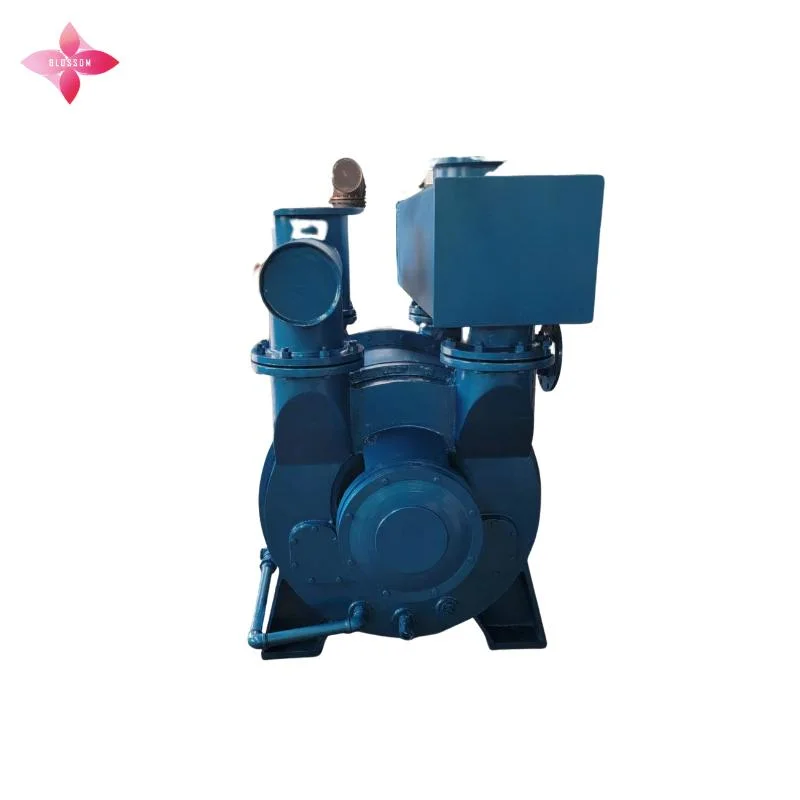 Manufacturer Products Water Liquid Ring Vacuum Pump for Mining Industry 2bea152