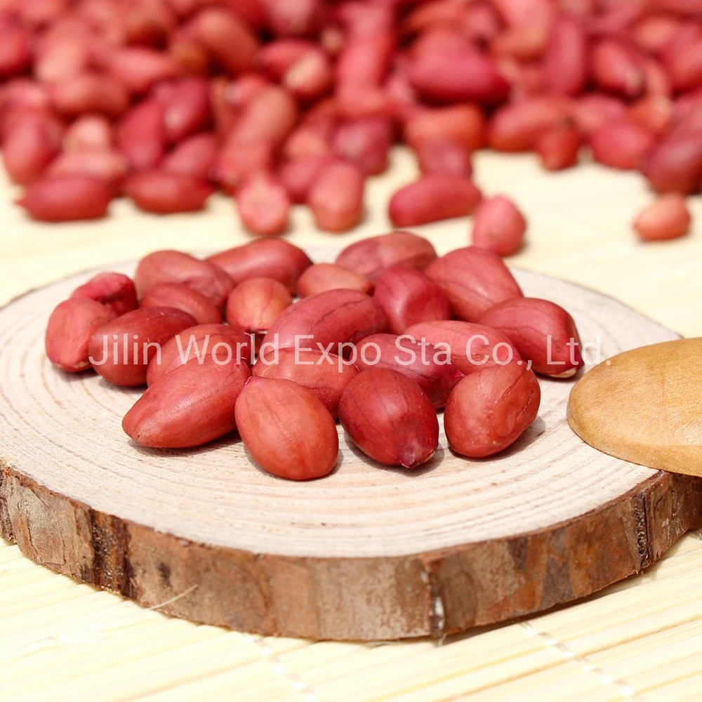 Peanut Kernels with Red Skin 80/100 From Professional Factory