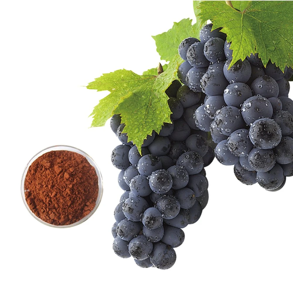 High quality/High cost performance 100% Natural Genuine OPC Proanthocyanidins Grape Seed Extract Health Care Product