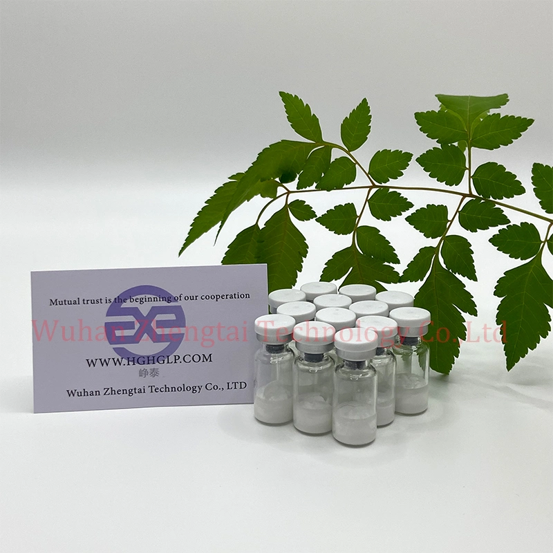 Peptides Lipolytic Fragment 2mg 5mg Muscle Building Weight Loss Solution CAS: 910463-68-2