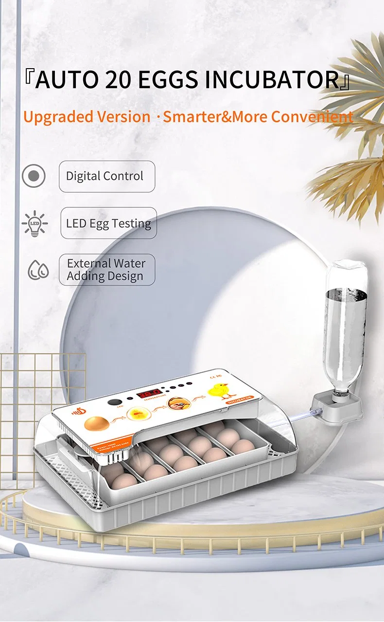 Hhd 20 Eggs Automatic Quail Egg Poultry Incubator Temperature Controller Thermostat for Sale