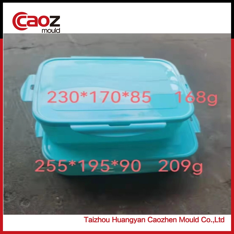 Used/Second Hand Plastic Food Container/Lock Lock Container Injection Mould