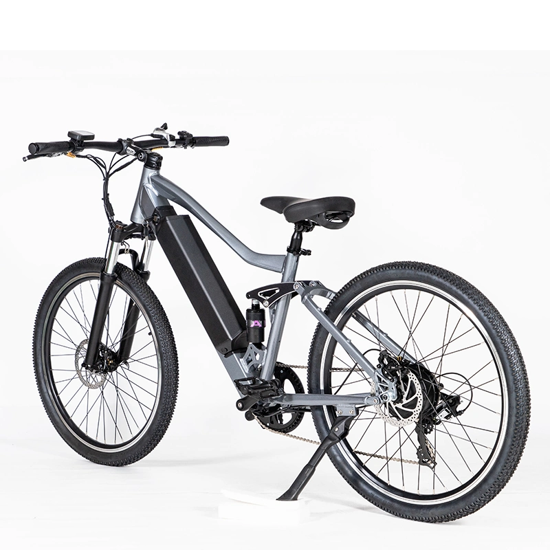 Two Wheel Electric Bike for Men and Women, Max Speed 50km/H with Foot Pedal, Customizable