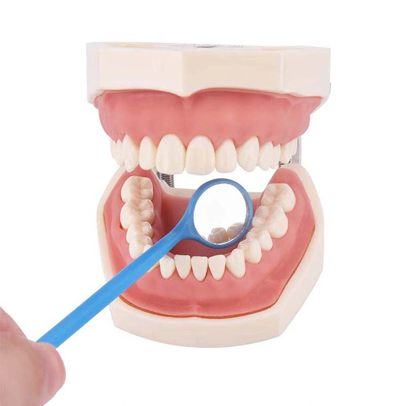 Examen instrumento dientes Herramientas de revisión Boca dental espejo oral