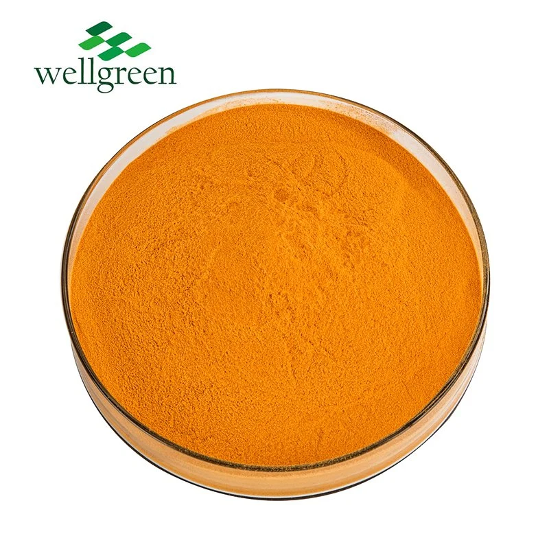 Free Sample CAS: 130-40-5 USP Grade 99% Pure Vitamin B2 98% Vitamin B2 Riboflavin Sodium Phosphate