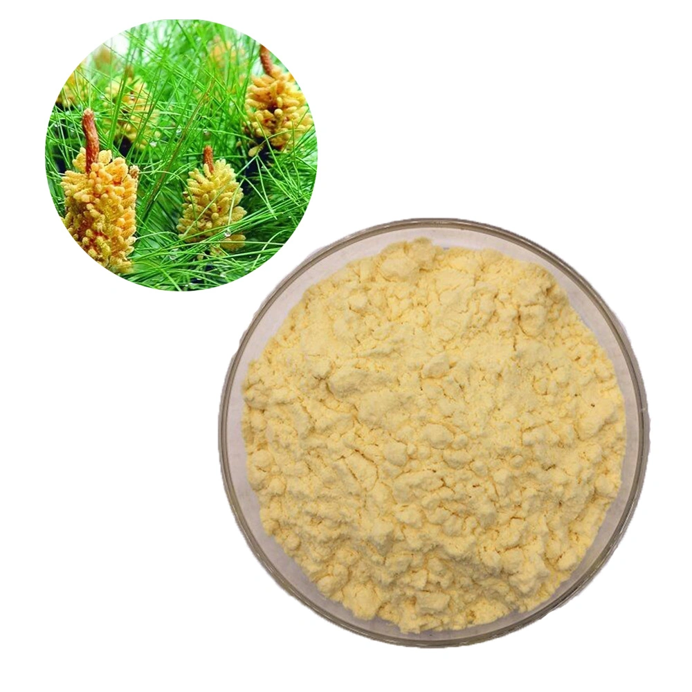 Favorable-Price Bulk Pine Pollen Extract 20: 1 Powder