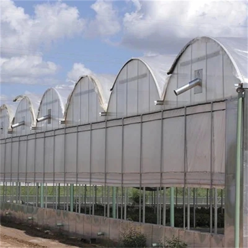 Smart Agricultural Multi Span Arch-Type Film PE Greenhouse for Vertical Farming Agriculture of Vegetables/Flowers/Tomato/Garden with Hydroponics System