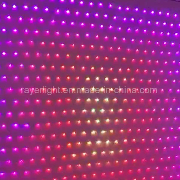 Digital Programmable Lighting Decorationchristmas Lights LED Net Light