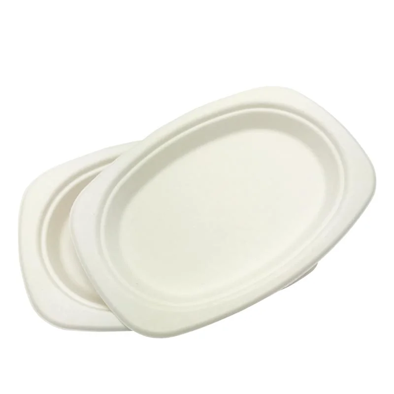 Zuckerrohr Bagasse Papier Zellstoff Form Biologisch Abbaubare Platten Bulk Einweg-Platten