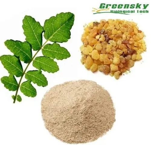 Boswellia Serrata Extract Boswellia Serrata Extract 10%, 65% Boswellic Acid4boswellia Serrata Extract 10%, 65% Boswellic Acid