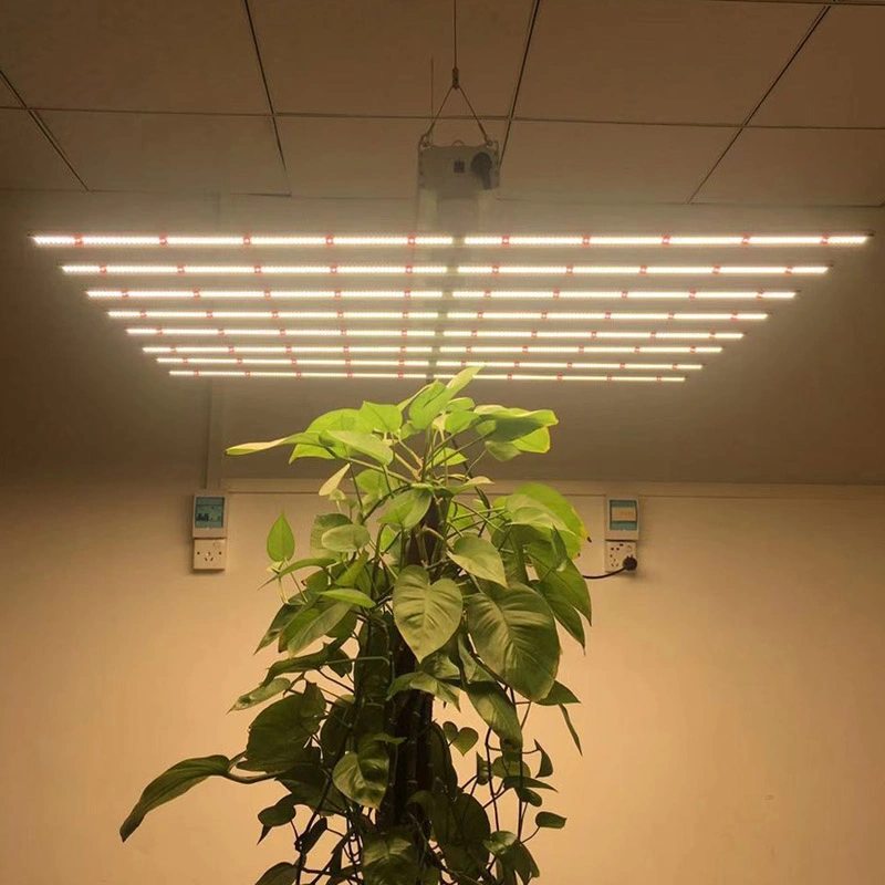 Professional Lighting полного спектра Samsung 480Вт Светодиодные индикаторы растет по мере роста панели лампы для выращивания овощей растений
