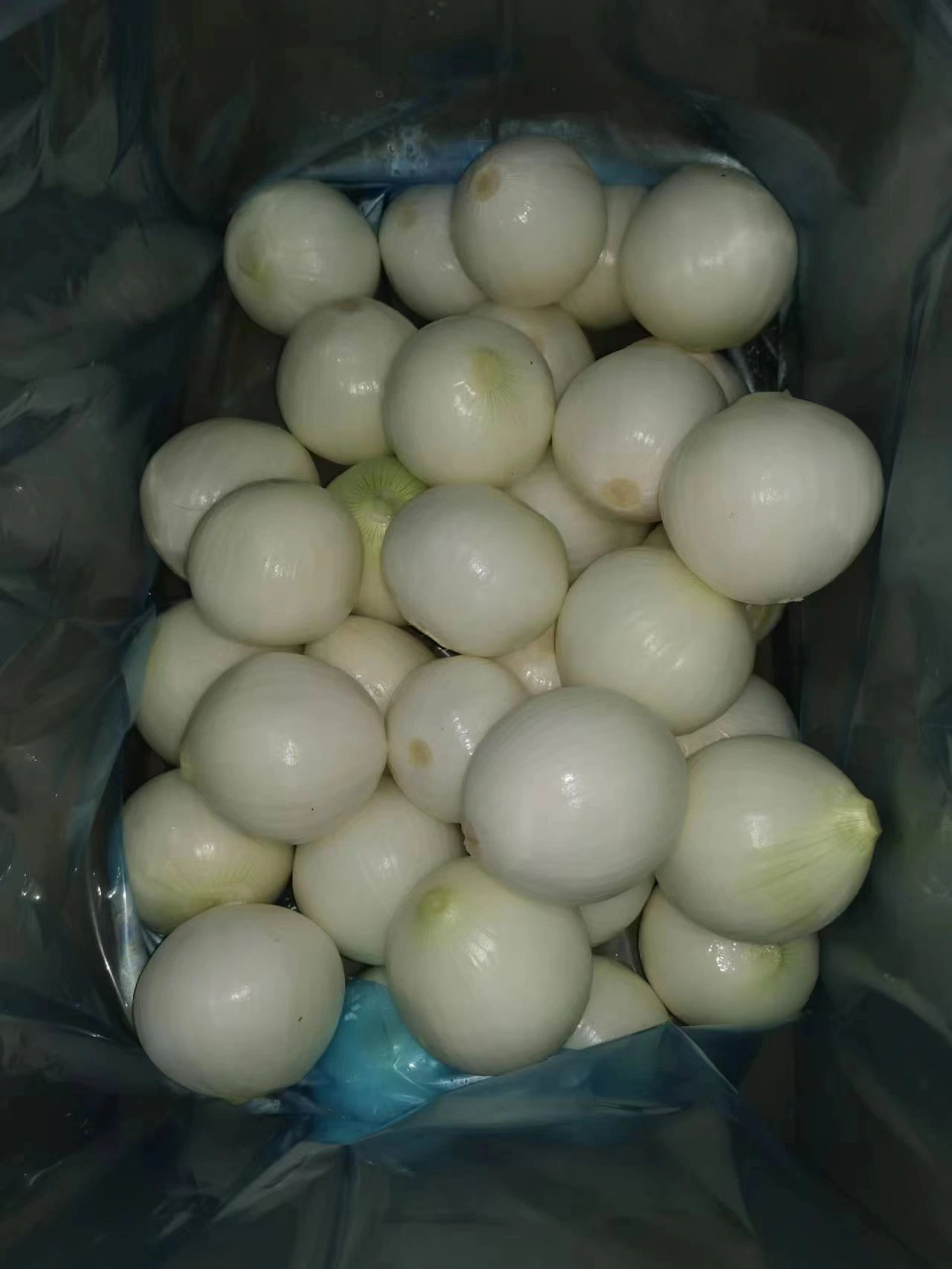 Whole Wholesale/Supplier Red Yellow White Green Skin Crop Peeled Purple Organic Frozen Fresh Vegetable Onion Price From Factory Supplier