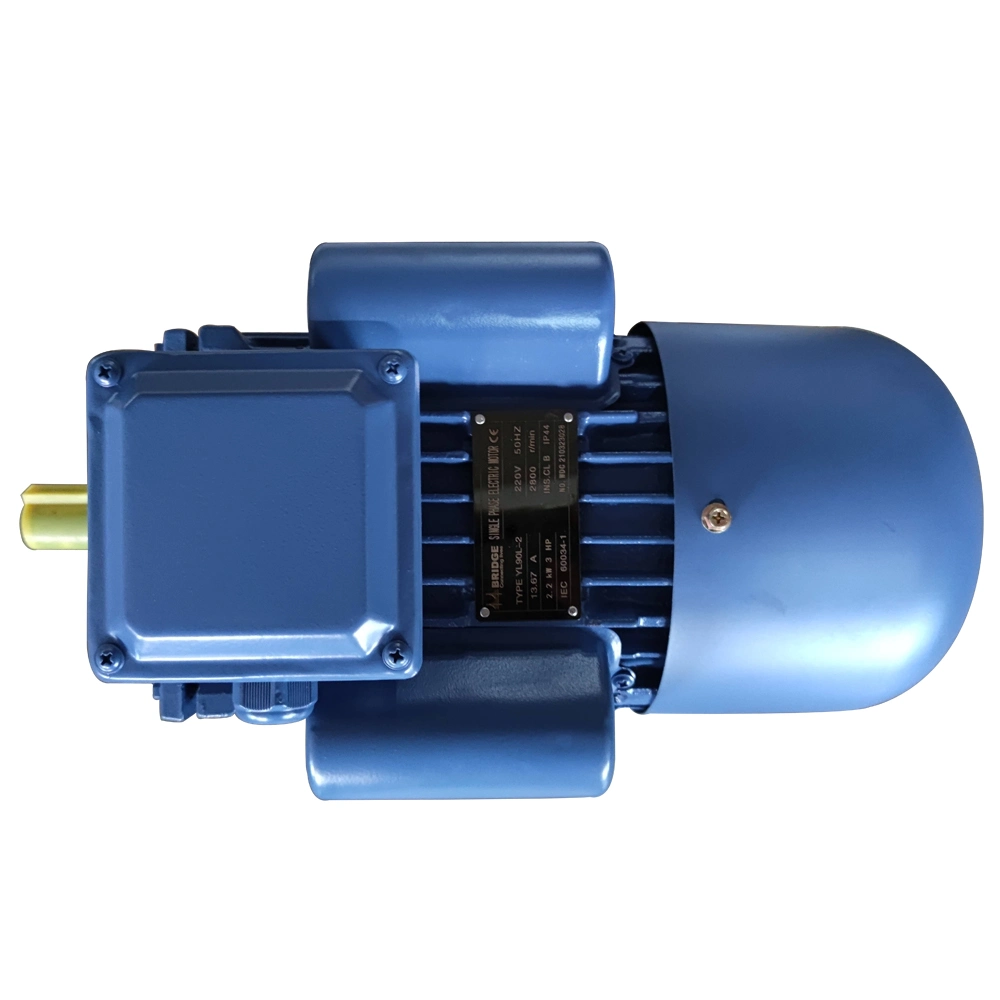 Yl801-4 0.55kw 0.75HP Single-Phase Dual-Capacitor Induction Motor