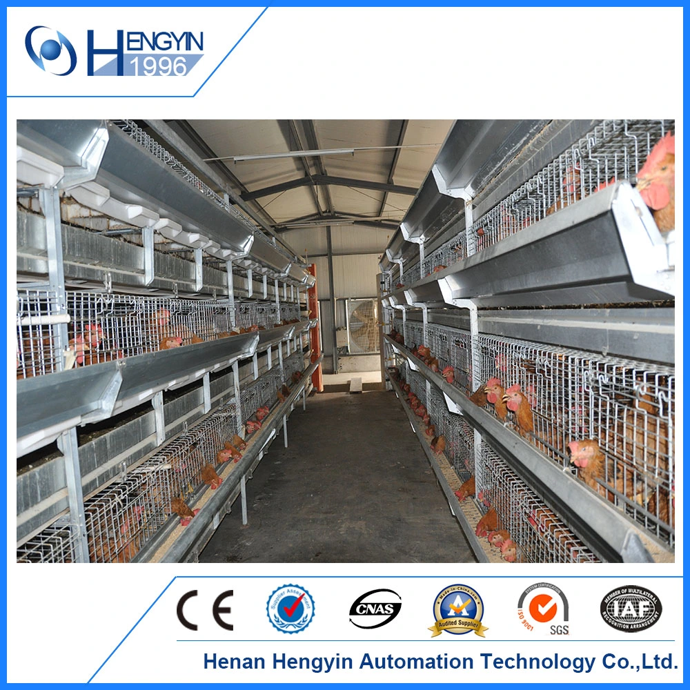 Animal Livestock Poultry Cage Equipment for Day Old Chicken Bird