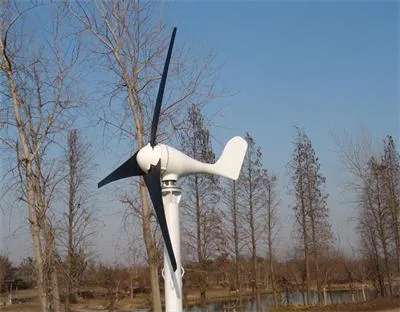 Wind Solar Hybrid Power System (300W) Wind Power and Solar Power Street Light off Grid System with Mini Wind Turbine Mini Solar Panel System